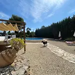 Villa Tropicana Can Jacobus Majorca Sleeps 10 Huge Pool